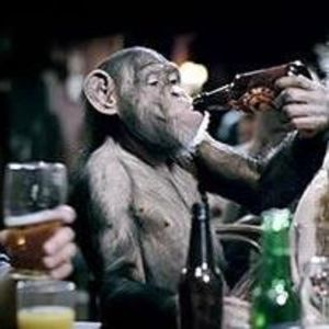 Meet your Posher, Jensen